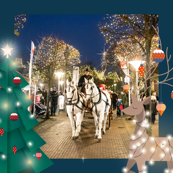 3517_SC_post_Hestevogn_1200x1200