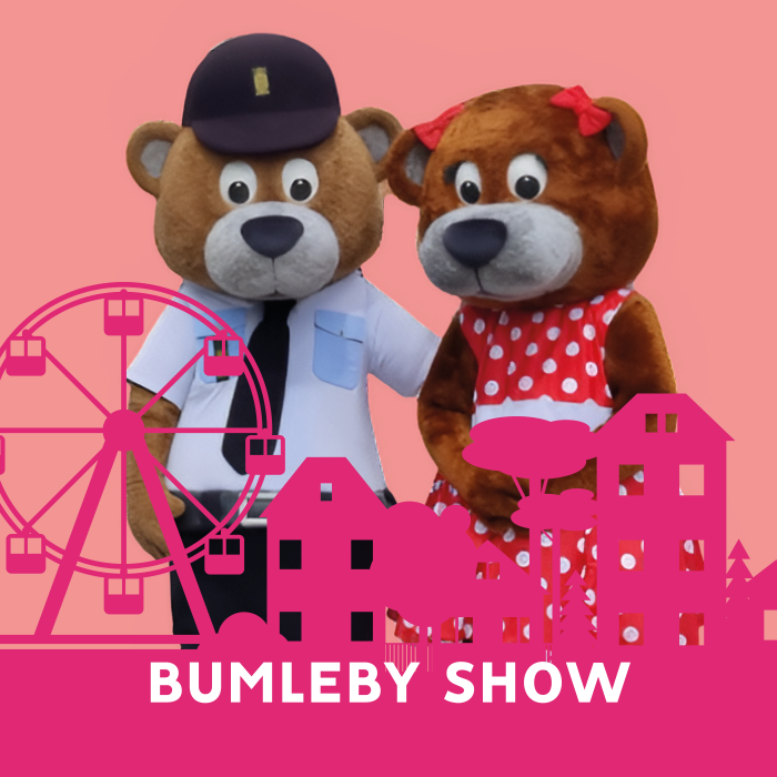 5375 - Tema - Byfest - Visuals - Website6