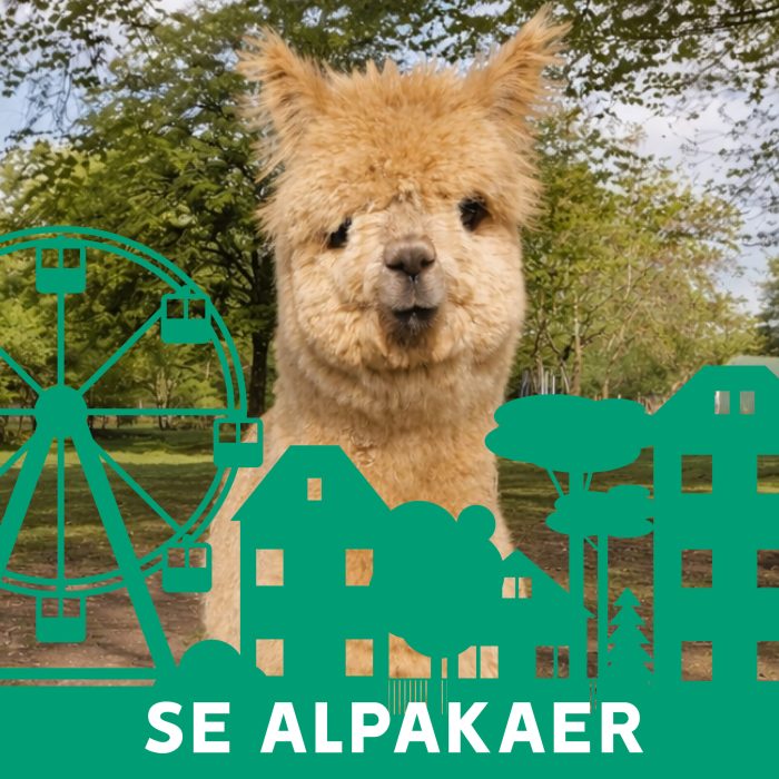 5756 - Tema - Byfest - Visuals - Post_1080 x 10807