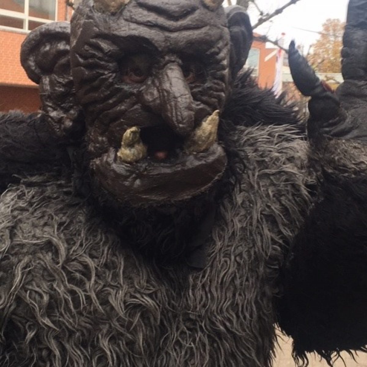 73012912_2393034877612367_4999144849379688448_n