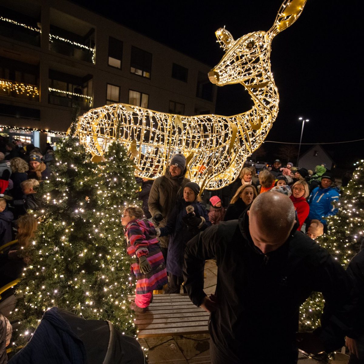 76955554_2426000434315811_4676766962078973952_o