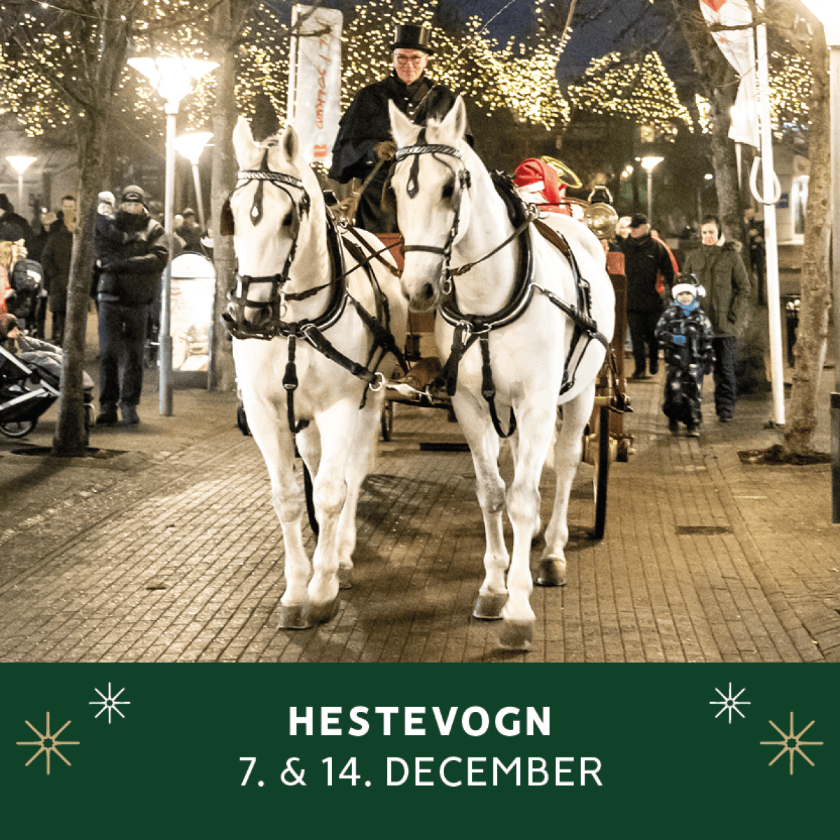 Hestevogn-feature-image