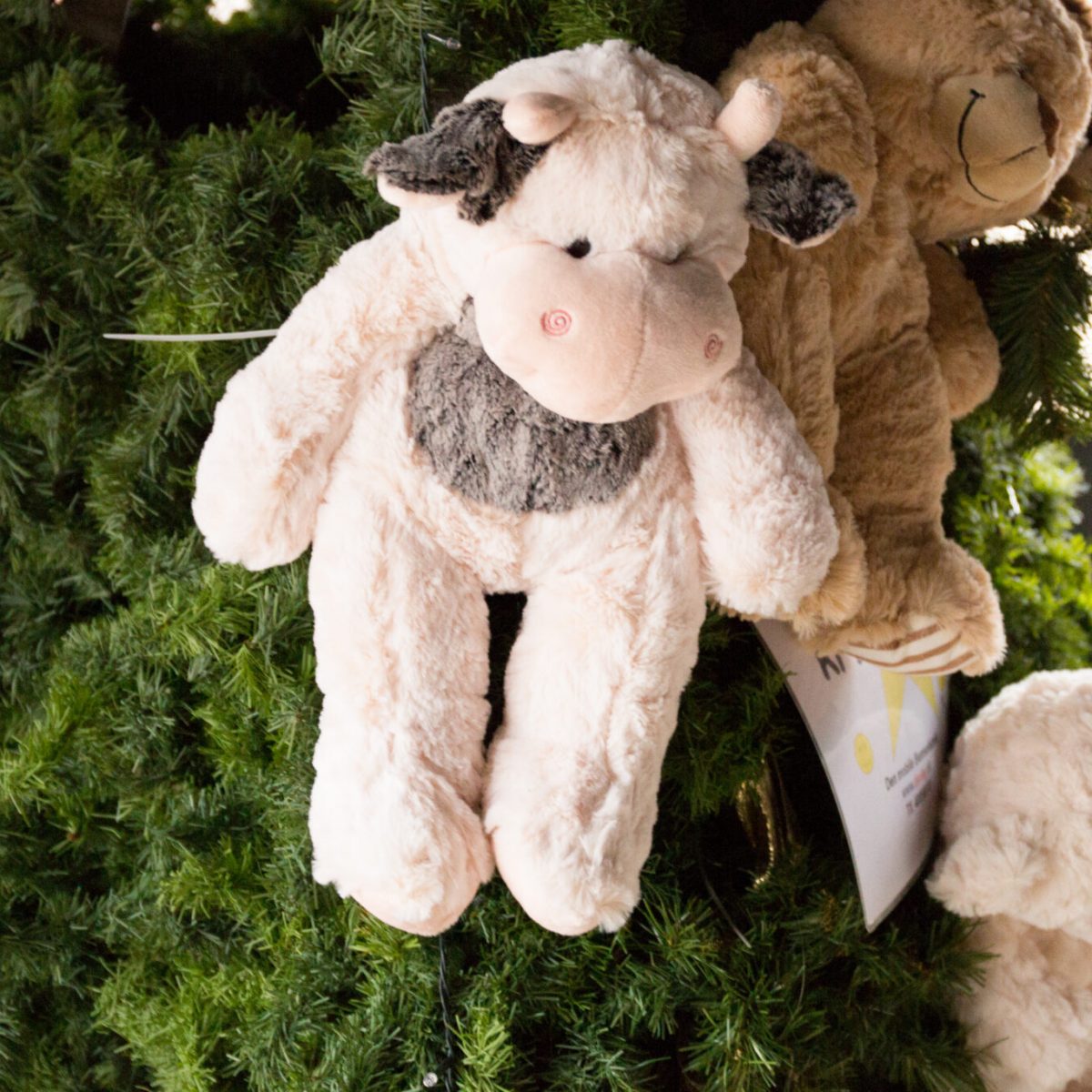 solrød_center_2015_bamsefyldning_10